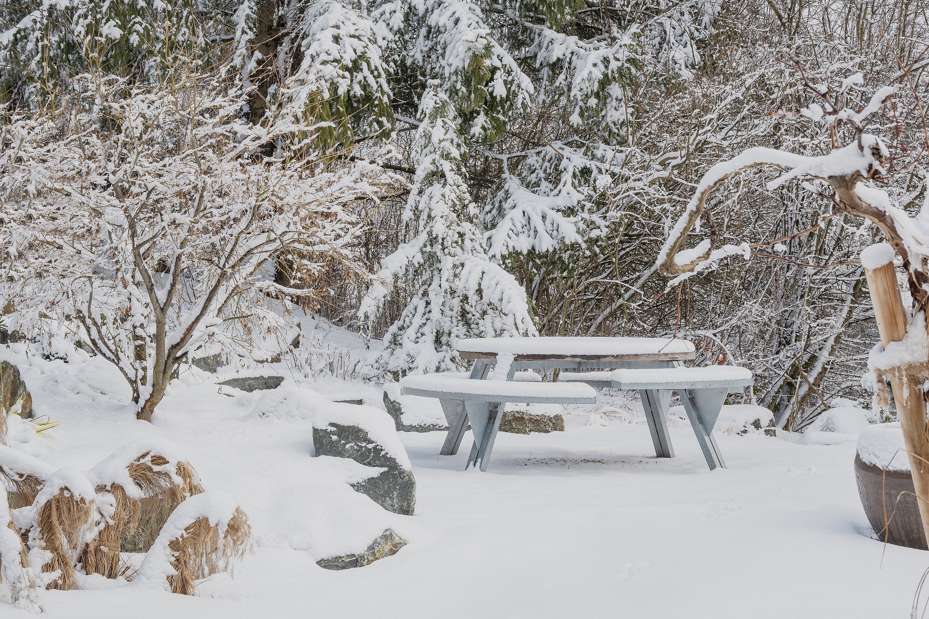 Met sneeuw bedekte picknicktafel in een rustige tuin, omgeven door rotsen, kale struiken en groenblijvende bomen vol met verse sneeuw.