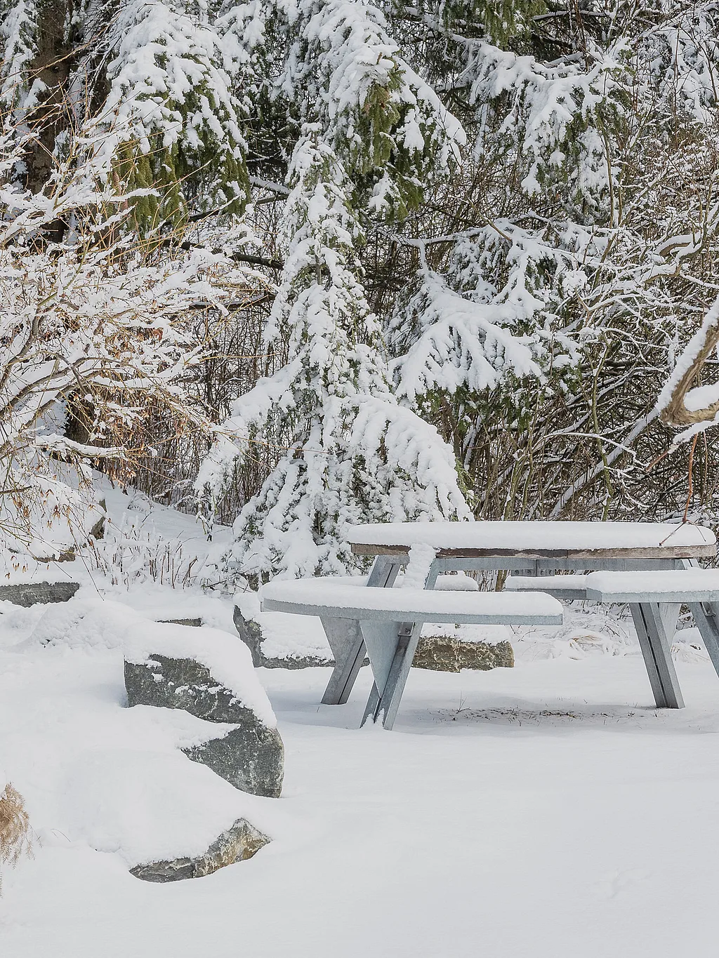 Met sneeuw bedekte picknicktafel in een rustige tuin, omgeven door rotsen, kale struiken en groenblijvende bomen vol met verse sneeuw.