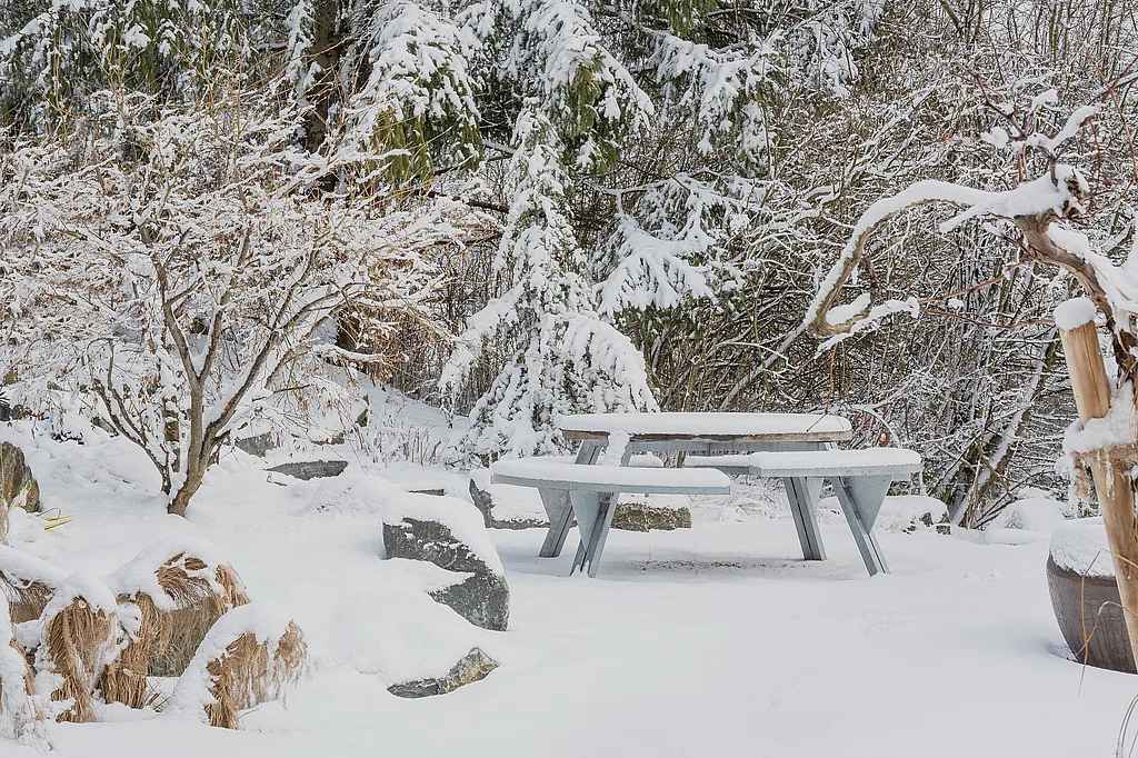 Schneebedeckter Hopper-Picknicktisch auf einer ruhigen Gartenlichtung, umgeben von Felsen, kahlen Sträuchern und immergrünen Bäumen, die mit frischem Schnee bestäubt sind.