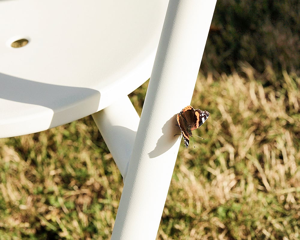 Ein Schmetterling ruht bei direkter Sonneneinstrahlung auf dem Bein eines weißen Outdoor-Stuhls, im Hintergrund ist trockenes Gras verschwommen