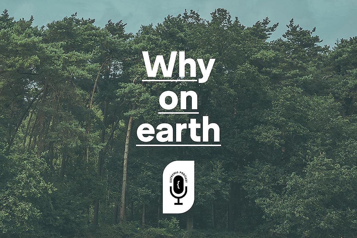 Image de style affiche avec les mots « Pourquoi donc ? » et une icône de microphone sur fond de forêt dense.