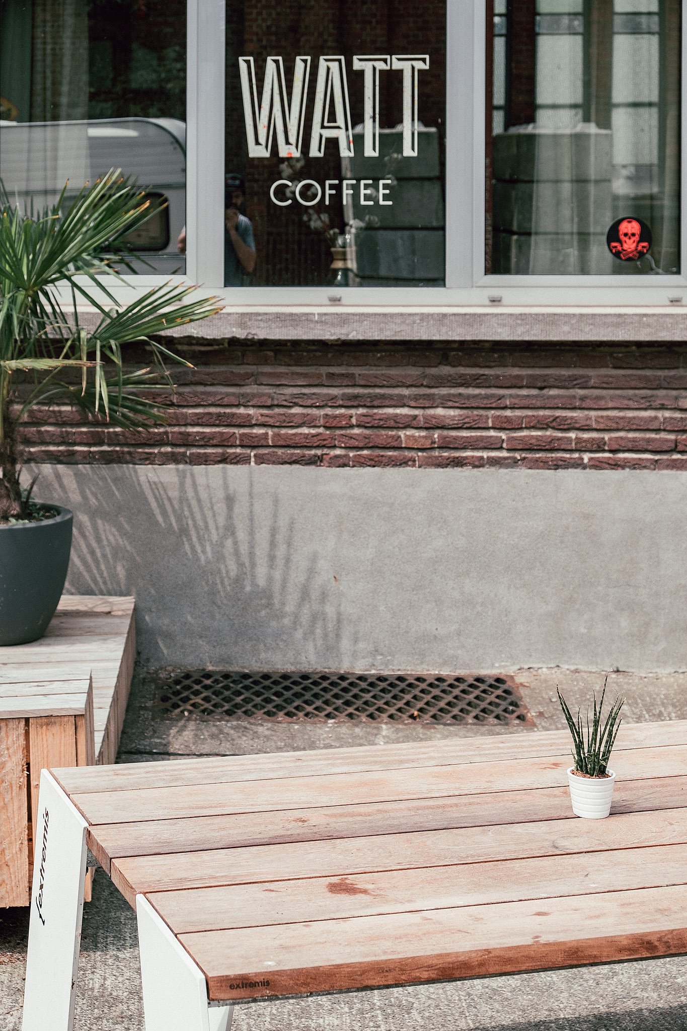 Gros plan sur le coin d’une table extérieure en bois avec une petite plante en pot, posée contre la fenêtre du bar à café WATT.
