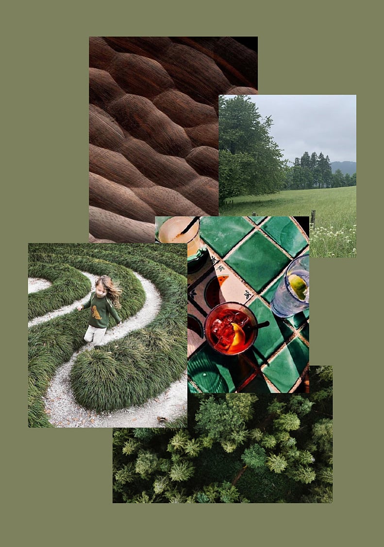 Mood board voor het Forests & Fields-bioom, een combinatie van graspaden, uitzicht op het bos, groene tegels, houten textuur en bovenliggende bosbeelden.