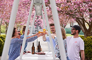 Freunde stoßen mit Biergläsern an einem weißen Tisch an, im Hintergrund blühen Kirschblüten.