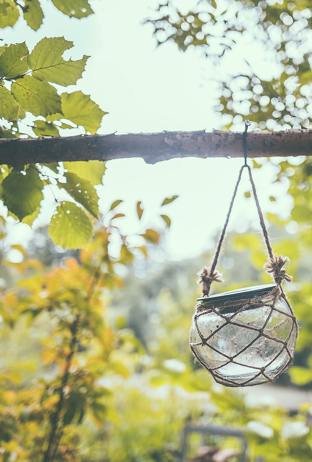 Rustig uitzicht op het Pop-Up Hotel in zijn bosomgeving, als gevolg van digitale detox en nabijheid tot de natuur.