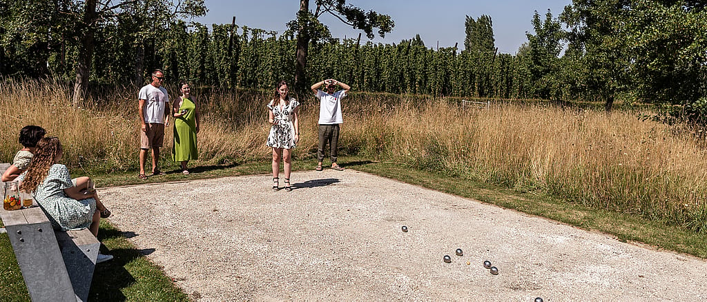Fünf Kollegen spielen Pétanque auf einem Schotterplatz neben hohem Sommergras, während zwei Leute auf einer Bank sitzen und zusehen.