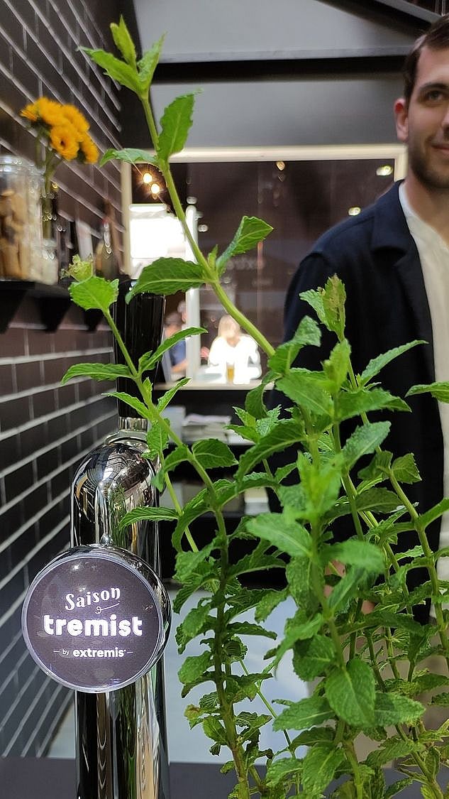 Vue du robinet à bière de Tremist.