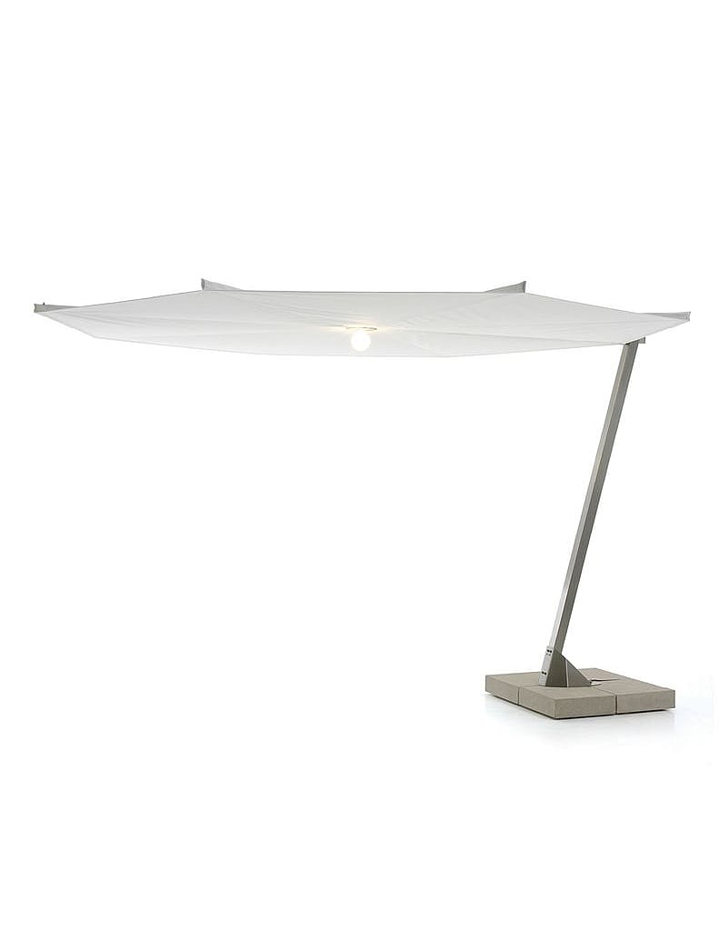 Kosmos parasol