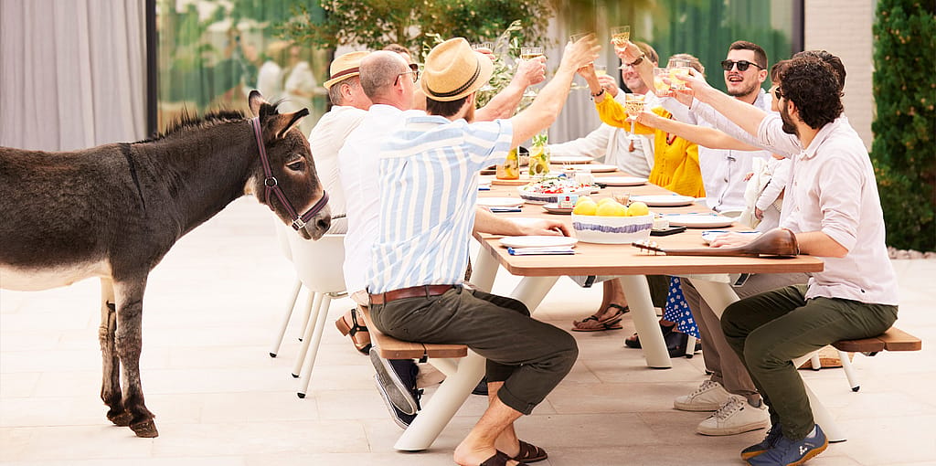 Eine Gruppe von Menschen erhebt Gläser um einen langen Panigiri-Tisch im Freien und feiert gemeinsam in einem sonnigen Innenhof.