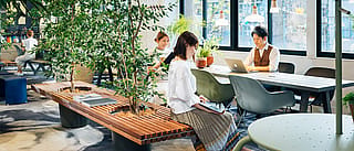 In einem hellen, naturnahen Büro mit Zimmerpflanzen, Sitzbänken, einem langen Gemeinschaftstisch, Hängelampen und großen Fenstern arbeiten und entspannen die Mitarbeiter.