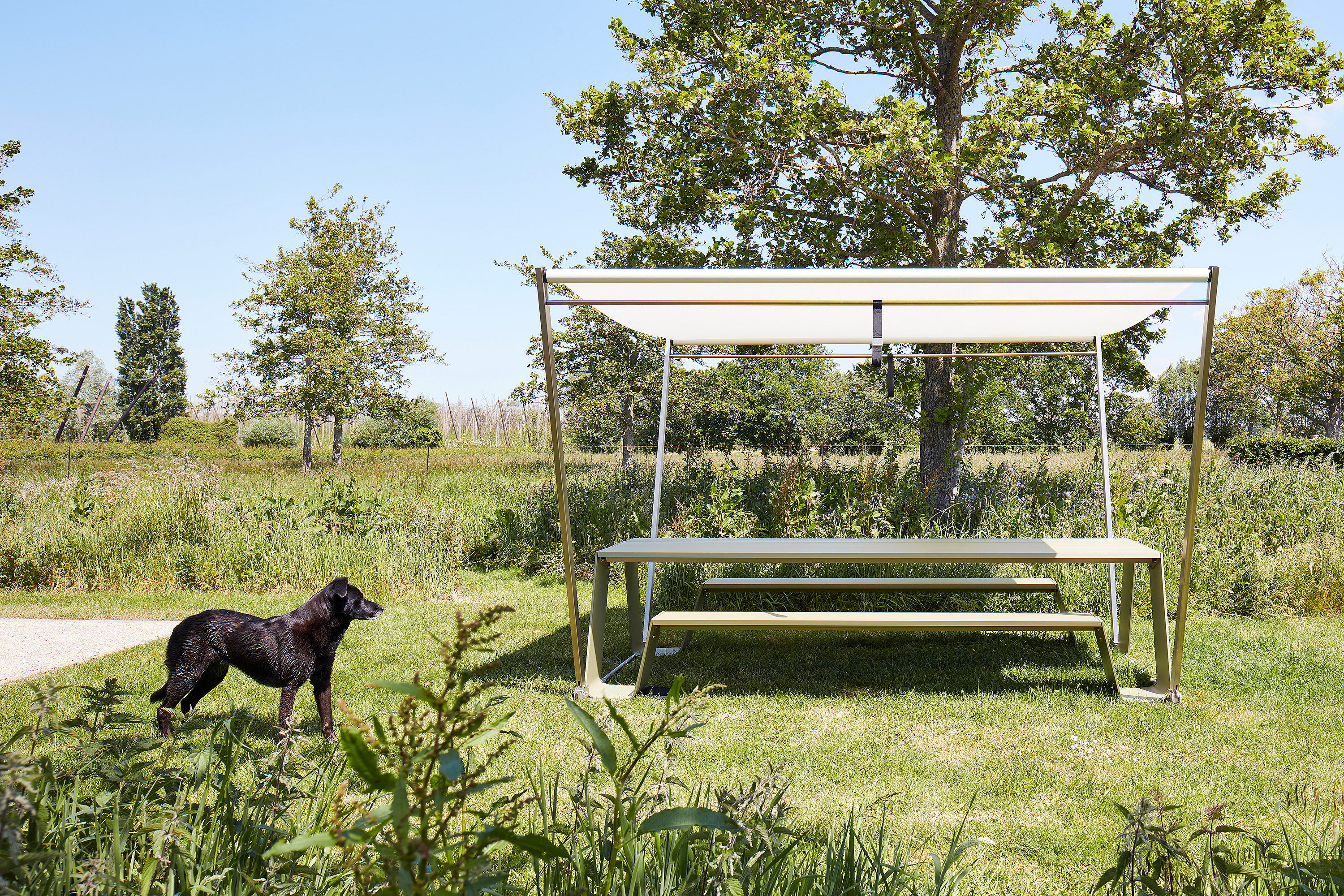 Table de pique-nique Hopper avec ombrage Hopper dans un jardin ensoleillé, avec un chien noir debout à proximité