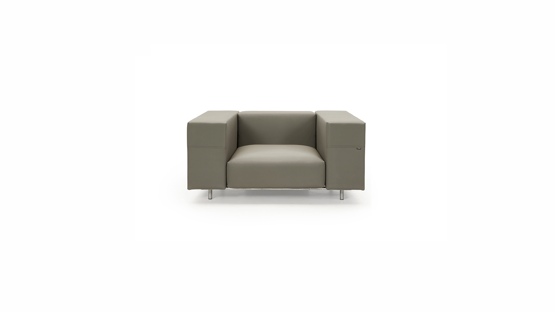 Walrus