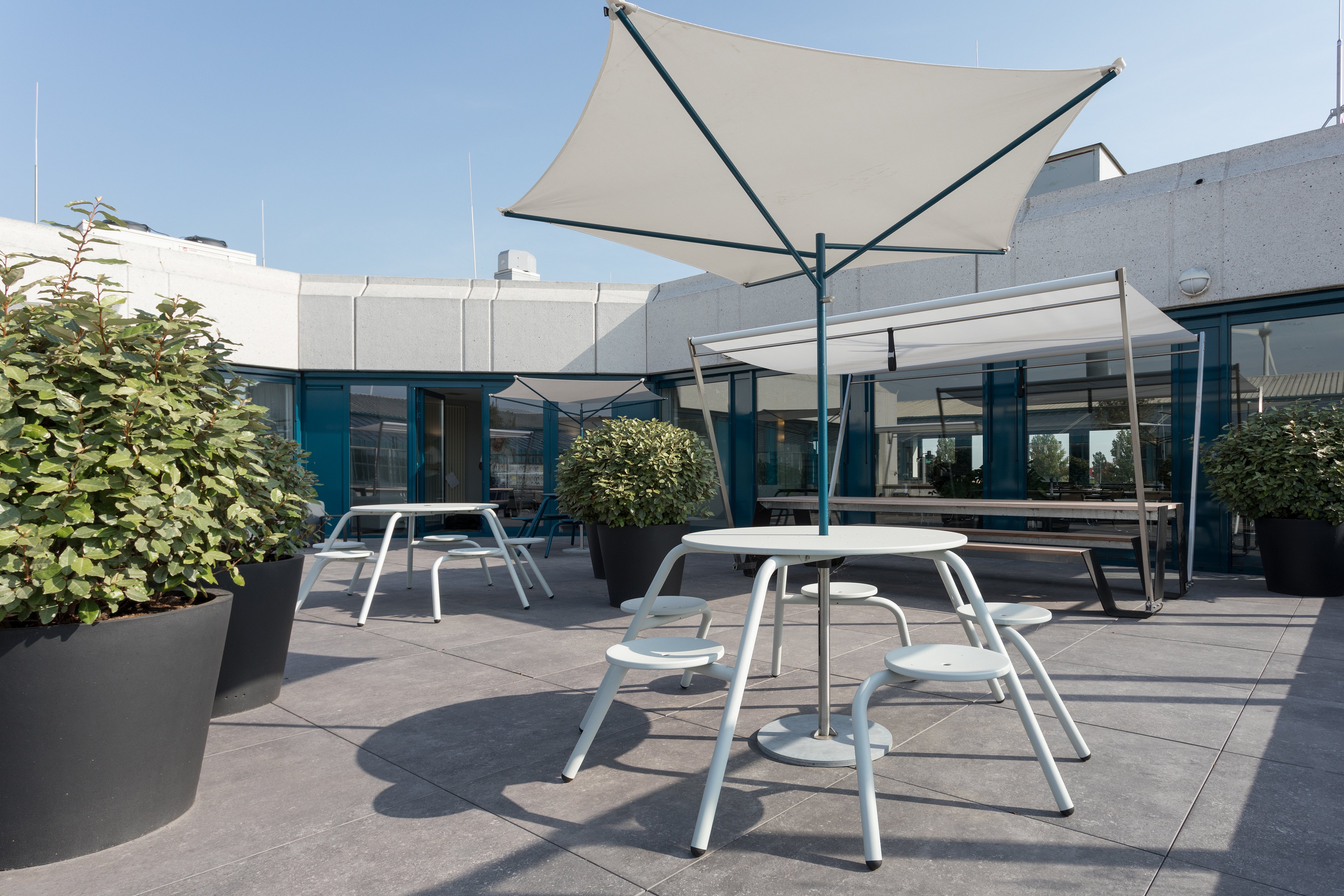 Tables Virus blanches avec parasols Acacia sur une terrasse ensoleillée